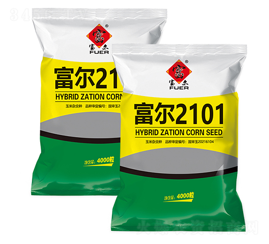 富爾2101-玉米種子-富爾農(nóng)藝