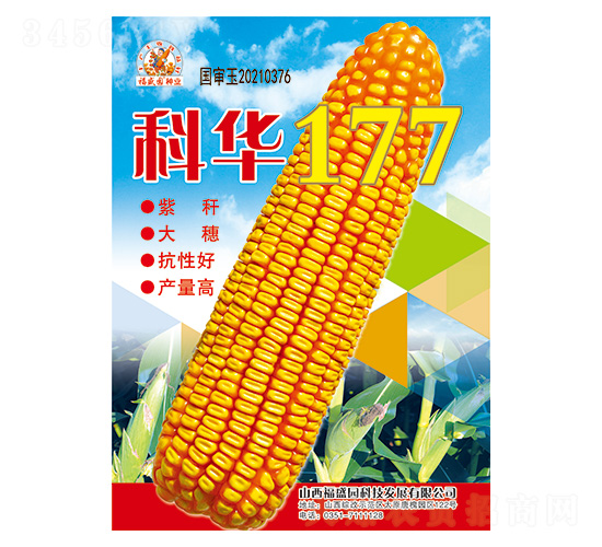 ���A177-���׷N��-��(qi��ng)ʢ�N�I(y��)