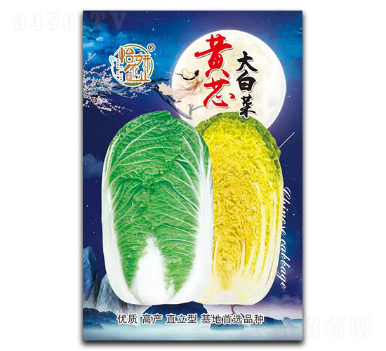 �Sо��ײ˷N��-�����r�I(y��)