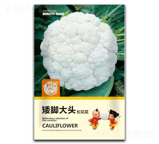 ���_���^�ɻ��˷N��-�����r(n��ng)�I(y��)