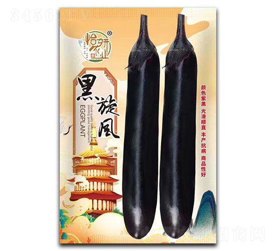 黑旋風(fēng)-辣椒種子-怡妍農(nóng)業(yè)