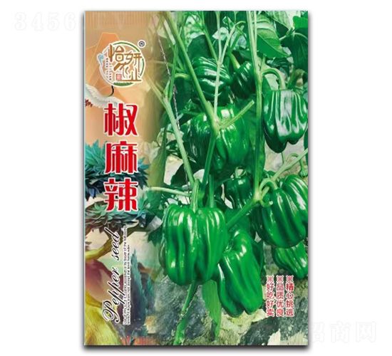 ������-�����N��-�����r(n��ng)�I(y��)