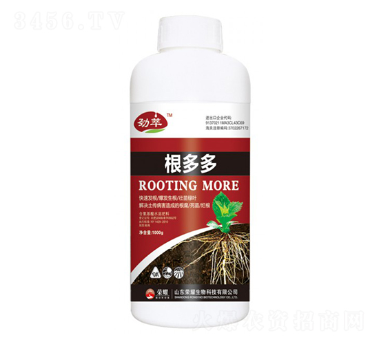 �����-����-�sҫ�r�I(y��)