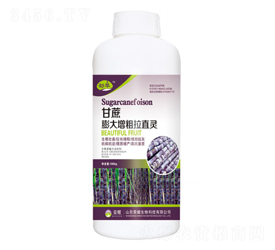 ����������a(ch��n)�أ�ƿ��-����-�sҫ�r(n��ng)�I(y��)