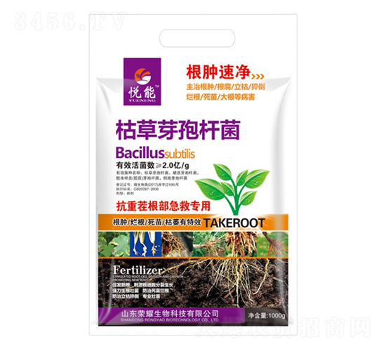 �ݲ�ѿ�ߗU��-����-�sҫ�r(n��ng)�I(y��)