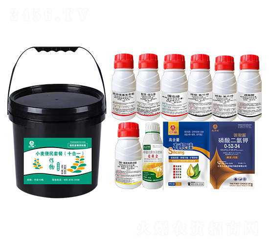 С�������ײͣ�ʮ��һ��-�l(xi��ng)�弾�L