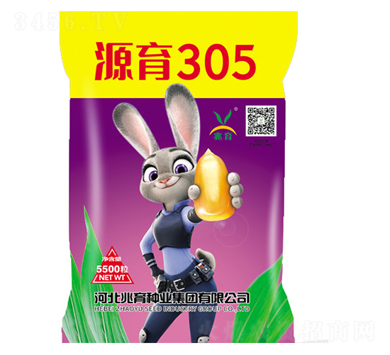 Դ��305-���׷N��-�����N�I(y��)