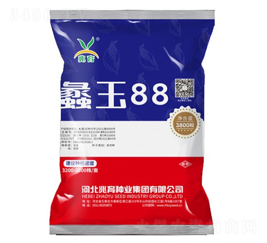 蠡玉88-玉米種子-兆育種業(yè)