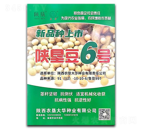 陜墾豆6號(hào)-大豆種子-陜墾大華