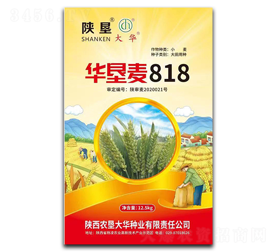 華墾麥818-小麥種子-陜墾大華