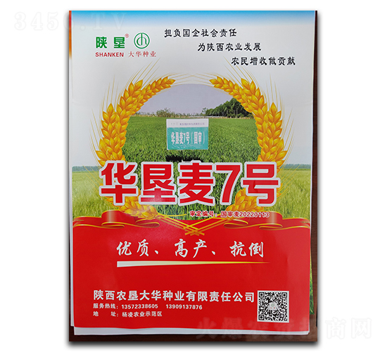 華墾麥7號(hào)-小麥種子-陜墾大華