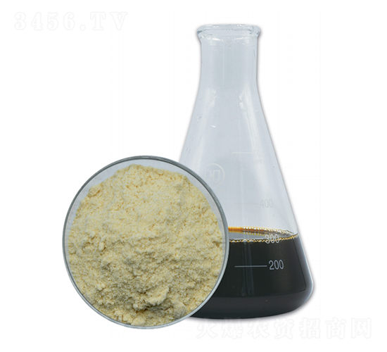 5-������������-��������