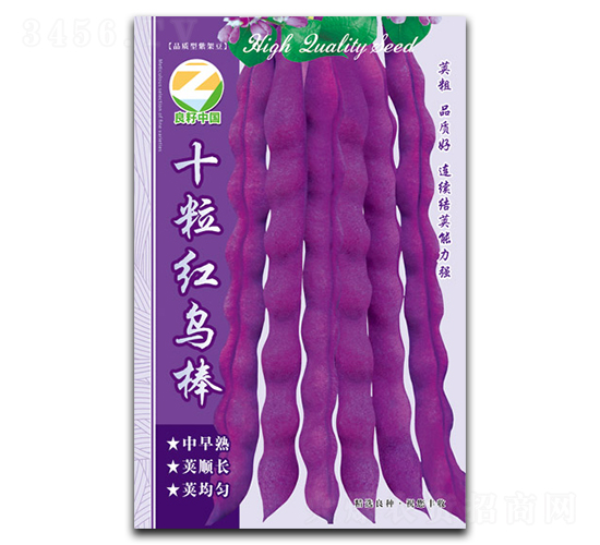 ʮ���t�B(ni��o)��-�����N��-�����r(n��ng)�I(y��)