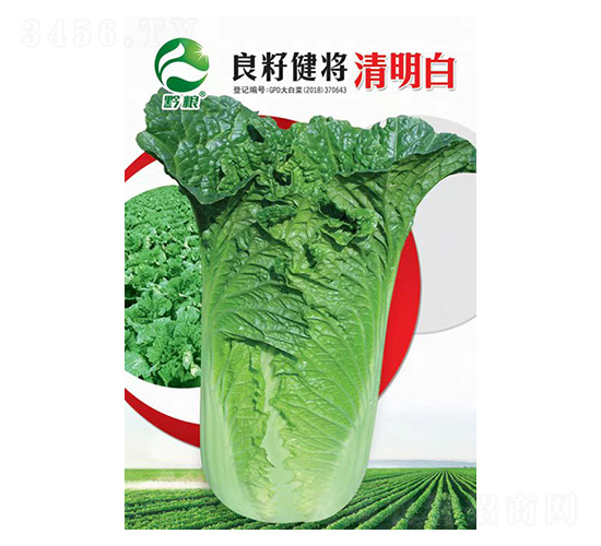 �ײ˷N��-���ѽ���������-�����r(n��ng)�I(y��)