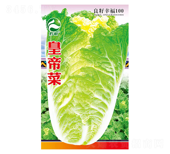 �ײ˷N��-�����r(n��ng)�I(y��)