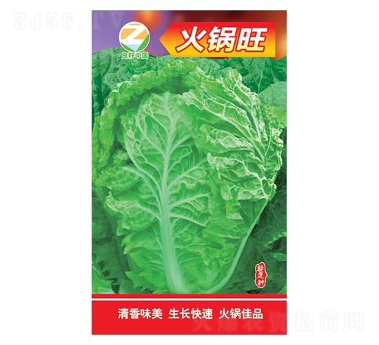 �ײ˷N��-�����-�����r(n��ng)�I(y��)