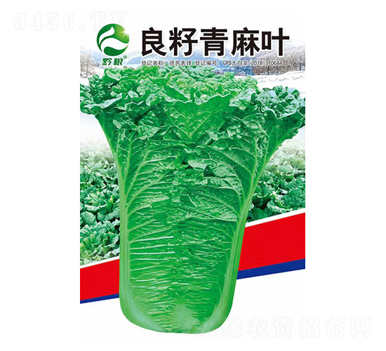 �ײ˷N��-���������~-�����r(n��ng)�I(y��)