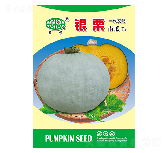 銀栗-萬(wàn)邦種業(yè)