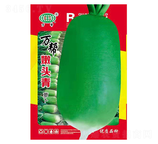 嫩頭青-萬邦種業(yè)