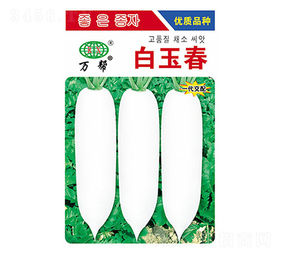 白玉春蘿卜種子-萬(wàn)邦種業(yè)