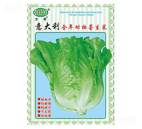 萬(wàn)幫意大利全年耐抽苔生菜種子-萬(wàn)邦種業(yè)