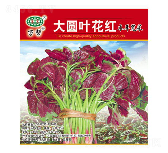 大圓葉花紅木耳莧菜種子-萬邦種業(yè)