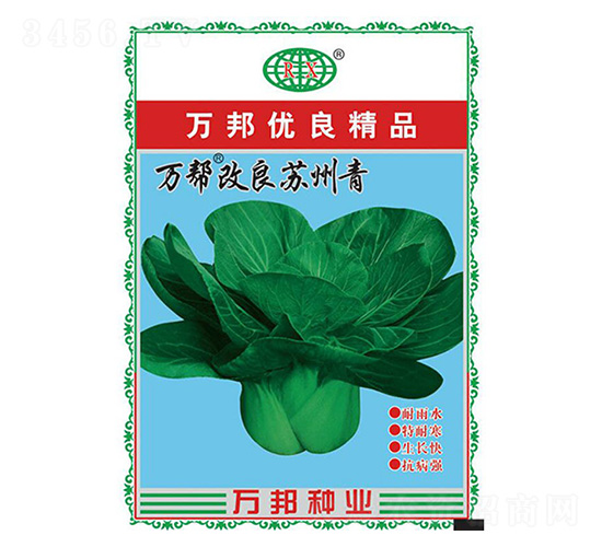 萬幫改良蘇州青青梗菜種子-萬邦種業(yè)