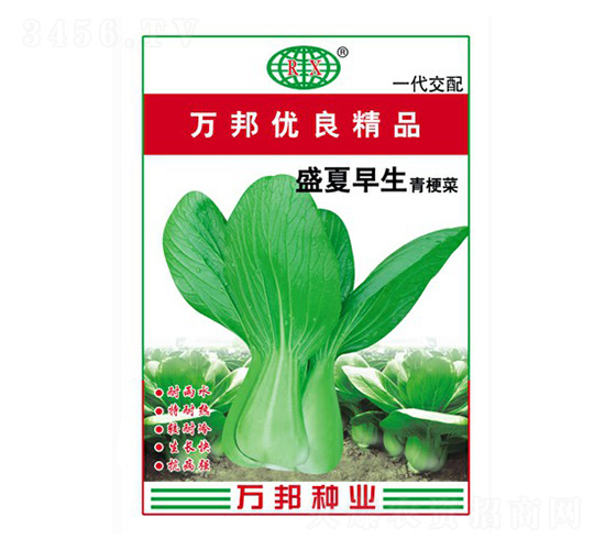 ʢ�������๣�˷N��-�f(w��n)��N�I(y��)