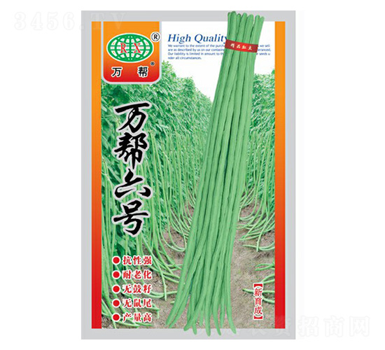 �f����̖�����N��-�f��N�I(y��)