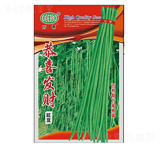 ��ϲ�l(f��)ؔ(c��i)�����N��-�f��N�I(y��)