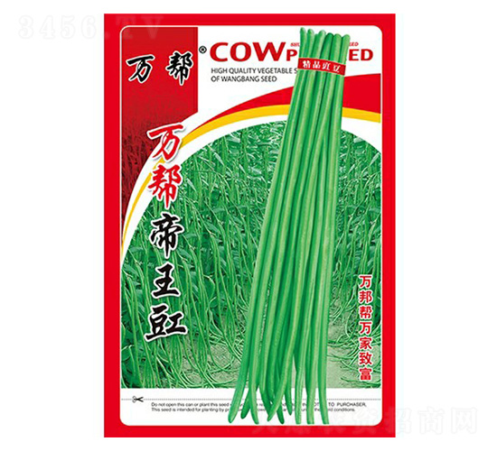 �f�͵�����-�����N��-�f��N�I(y��)