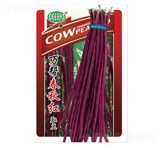 �f�ʹ���t�����N��-�f��N�I(y��)