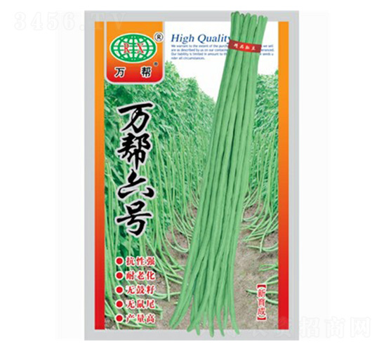 萬(wàn)幫六號(hào)-豇豆種子-萬(wàn)邦種業(yè)