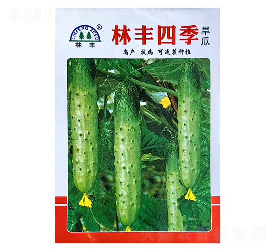 林豐四季旱瓜-黃瓜種子-陵豐種苗