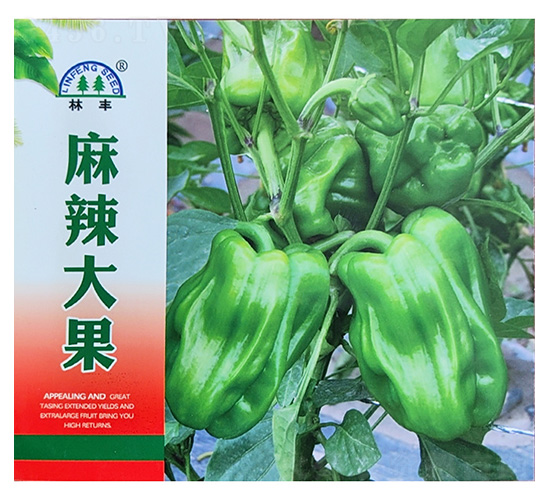 麻辣大果-辣椒種子-陵豐種苗