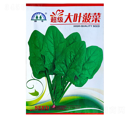 超級(jí)大葉菠菜-菠菜種子-陵豐種苗