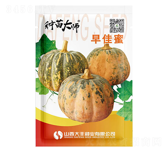 早佳蜜-南瓜種子-大豐種業(yè)