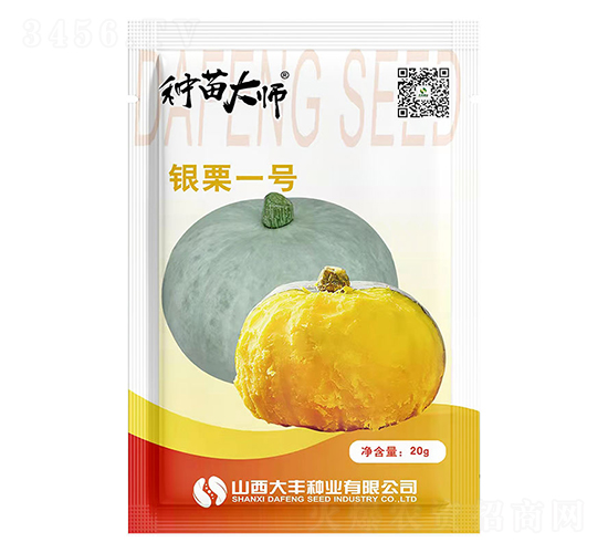 銀栗一號(hào)-南瓜種子-大豐種業(yè)