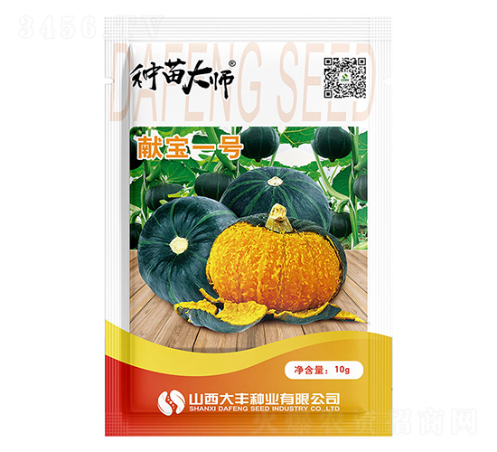 獻(xiàn)寶一號(hào)-南瓜種子-大豐種業(yè)