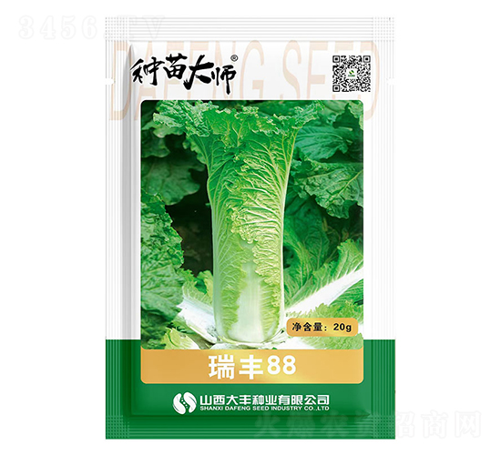 瑞豐88-大白菜種子-大豐種業(yè)