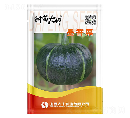 墨香栗-南瓜種子-大豐種業(yè)