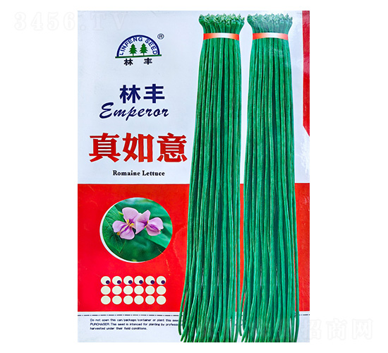 ������-�����N��-���S�N��