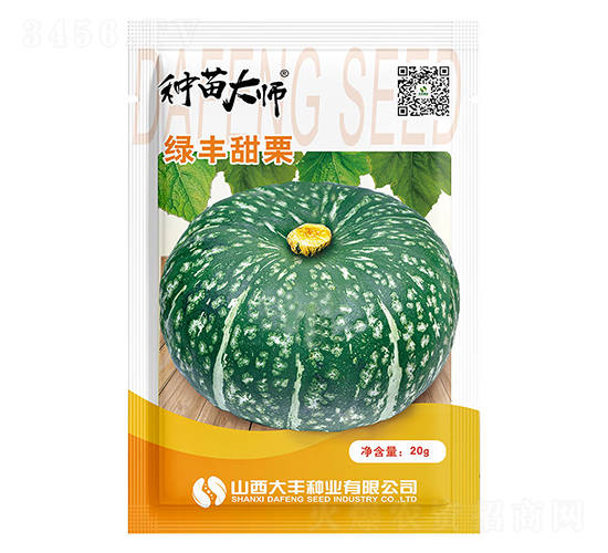 綠豐甜栗-南瓜種子-大豐種業(yè)
