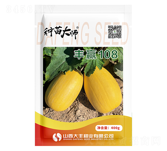 豐贏108-南瓜種子-大豐種業(yè)