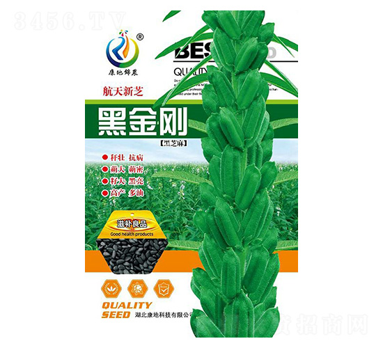 �ڽ���-֥��N��-���ؿƼ�