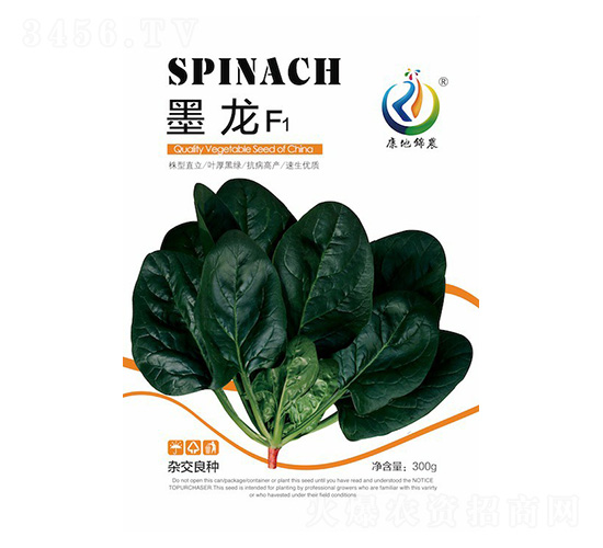 墨龍-菠菜種子-康地科技