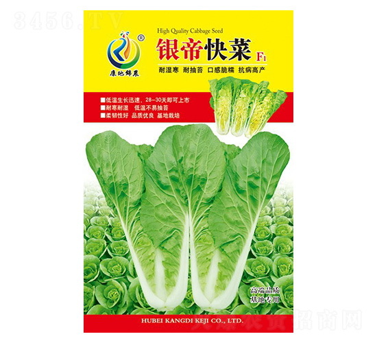 �y�ۿ��-��˷N��-���ؿƼ�