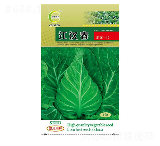 ���h��-���{(l��n)�N��-���ؿƼ�