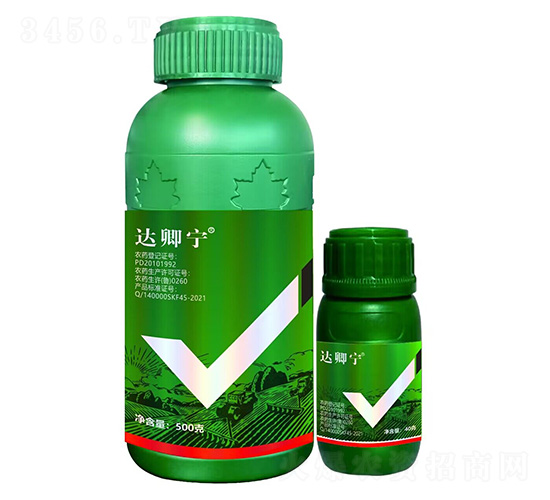 達(dá)卿寧-?？破? style=