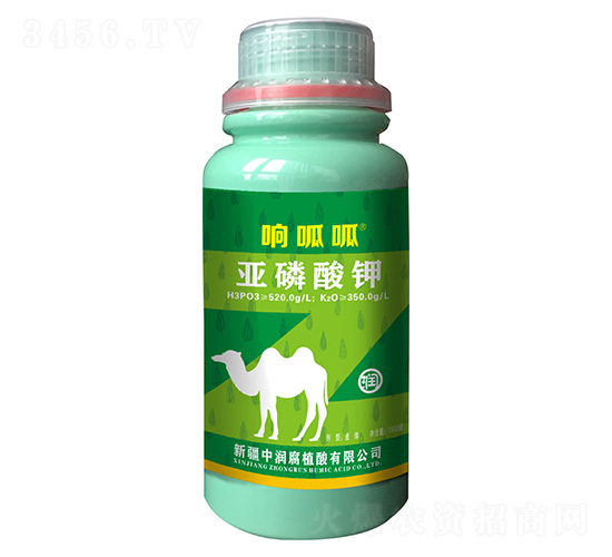 �������-�����-�Н���ֲ��